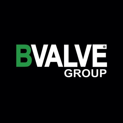 Bvalve 2